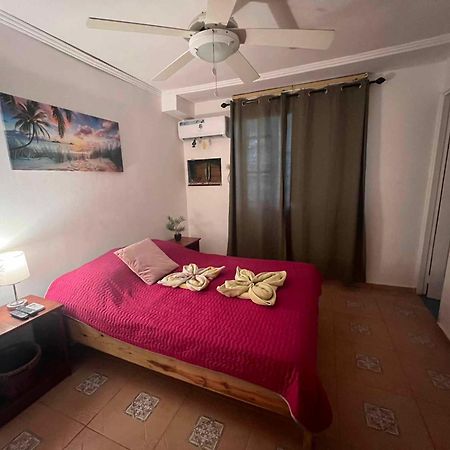 Hotel Tierra Verde Bed And Breakfast Bocas Town Dış mekan fotoğraf