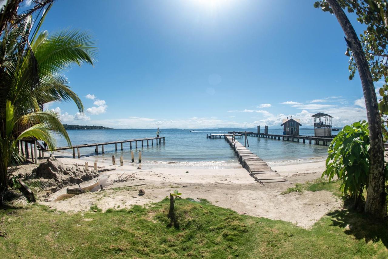 Hotel Tierra Verde Bed And Breakfast Bocas Town Dış mekan fotoğraf