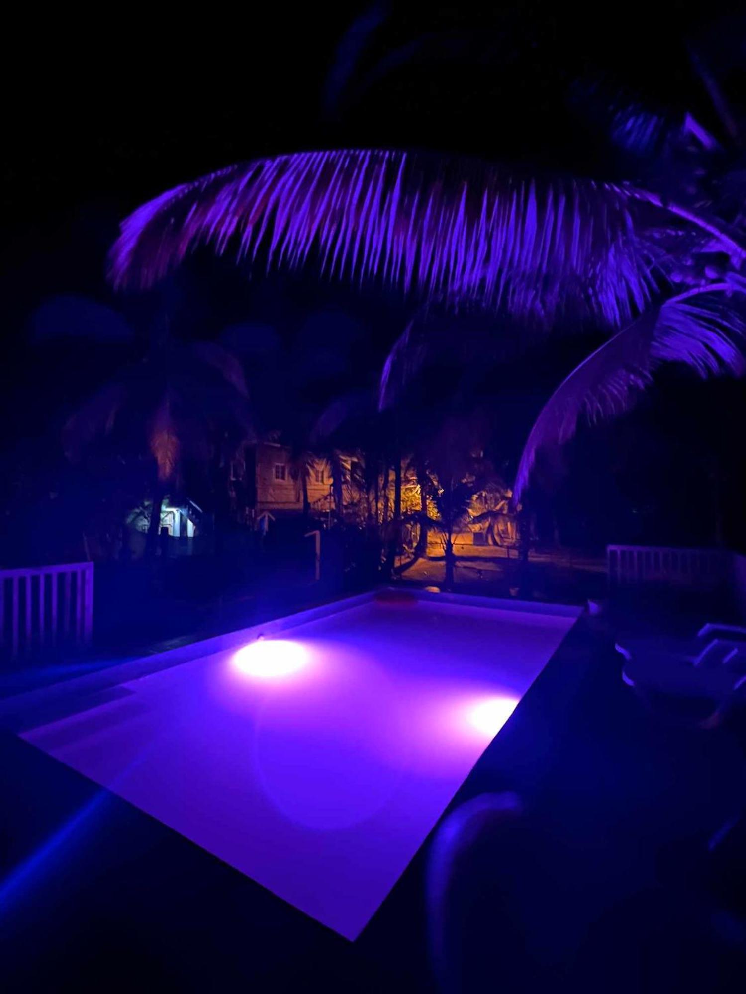 Hotel Tierra Verde Bed And Breakfast Bocas Town Dış mekan fotoğraf