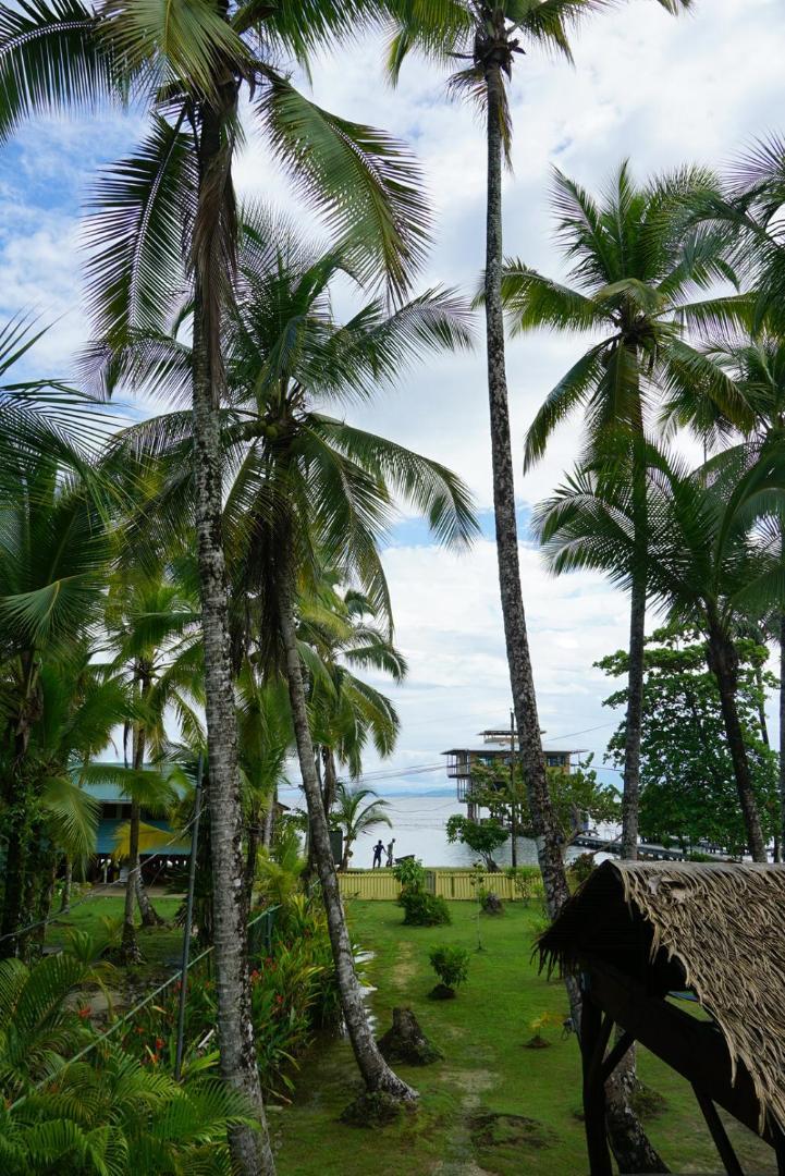 Hotel Tierra Verde Bed And Breakfast Bocas Town Dış mekan fotoğraf