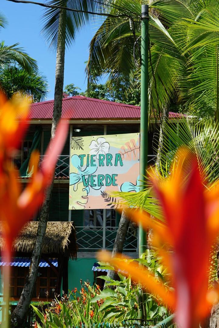 Hotel Tierra Verde Bed And Breakfast Bocas Town Dış mekan fotoğraf